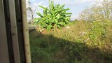 Wiebelige treinreis van Hsipaw naar Pyin Oo Lwin
