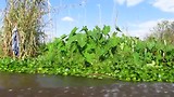 Bootritje over de rivier die naar Inle Lake leidt