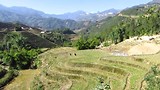 Rijstvelden in Sapa