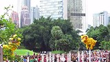 Lion Dance voor het Chinees Nieuwjaar