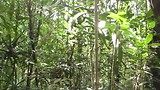Bako National Park
