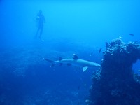 DSCN2496