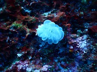 DSCN2592
