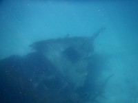 DSCN2779
