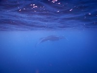 DSCN2858