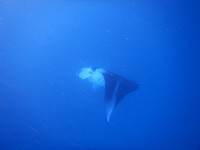 DSCN2912