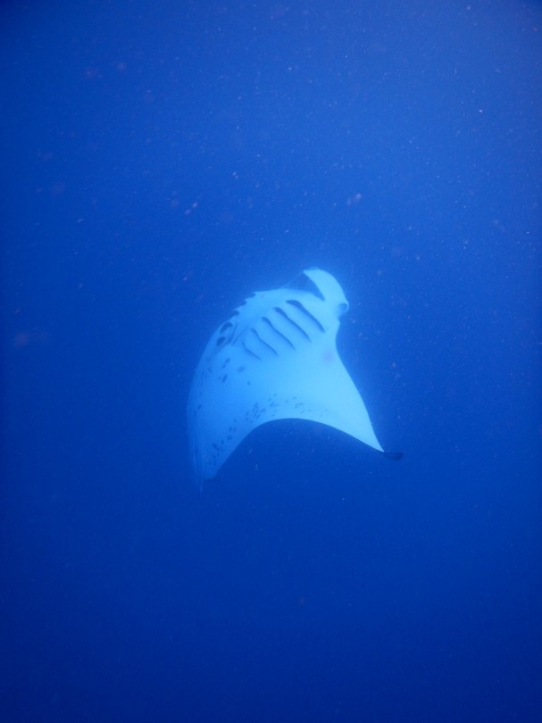 DSCN2913