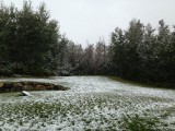 Sneeuw