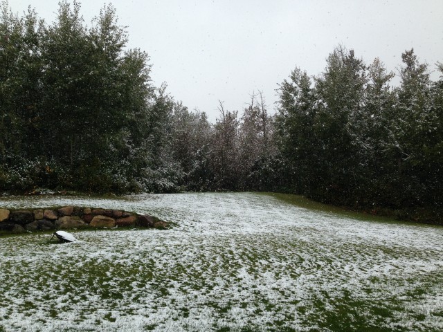 Sneeuw