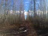 Off-road