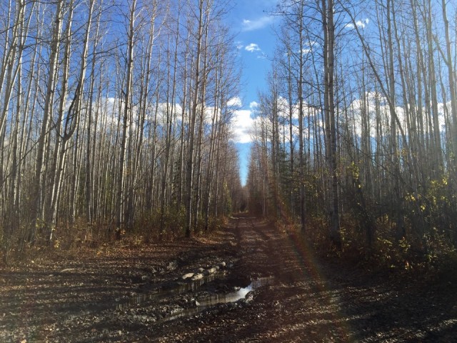 Off-road