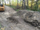 Dirt Jumps