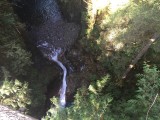 IMG_0338