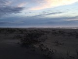 IMG_0505