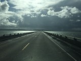 IMG_0520