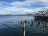 IMG_0524