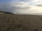 IMG_0539