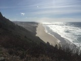 IMG_0766