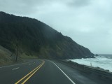 IMG_0795