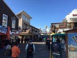 IMG_1079