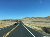 IMG_1121
