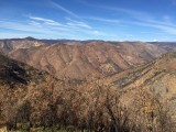 IMG_1126