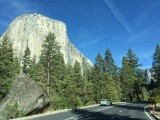 IMG_1168