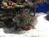 IMG_1285