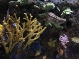 IMG_1286
