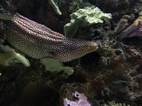 IMG_1287