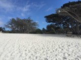 IMG_1313