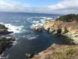 IMG_1374