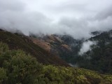 IMG_1451