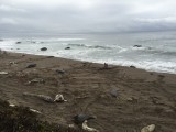 IMG_1469