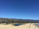 IMG_1516
