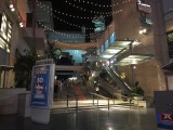 IMG_1588