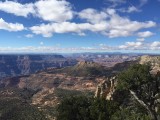 IMG_1645