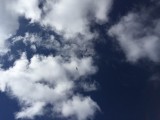 IMG_1657