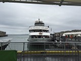 IMG_1005