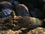 IMG_1291