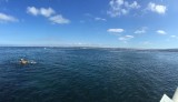 IMG_1307