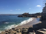 IMG_1310