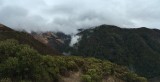 IMG_1452
