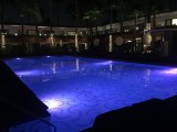 IMG_1551
