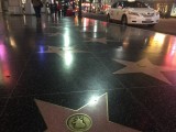 IMG_1583