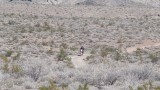 PB010026