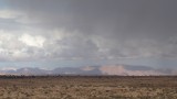 PB033272