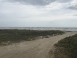 IMG_1834