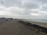 IMG_1856