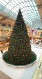 IMG_1934